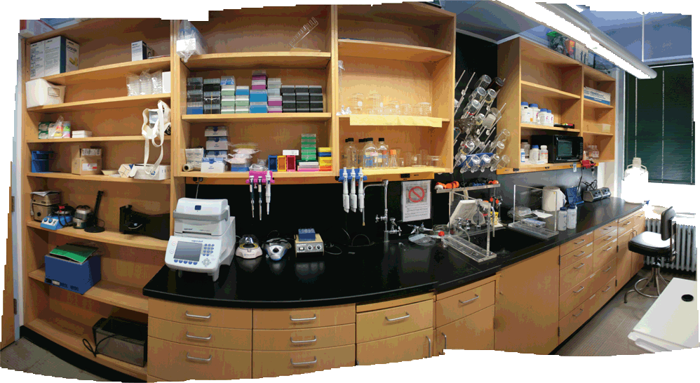 Biovector NTCC Lab