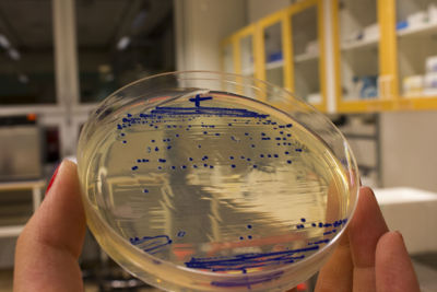 Biovector_Blue_white