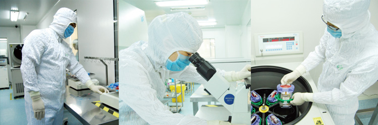 实验室-BioVector NTCC中国质粒载体菌种细胞基因