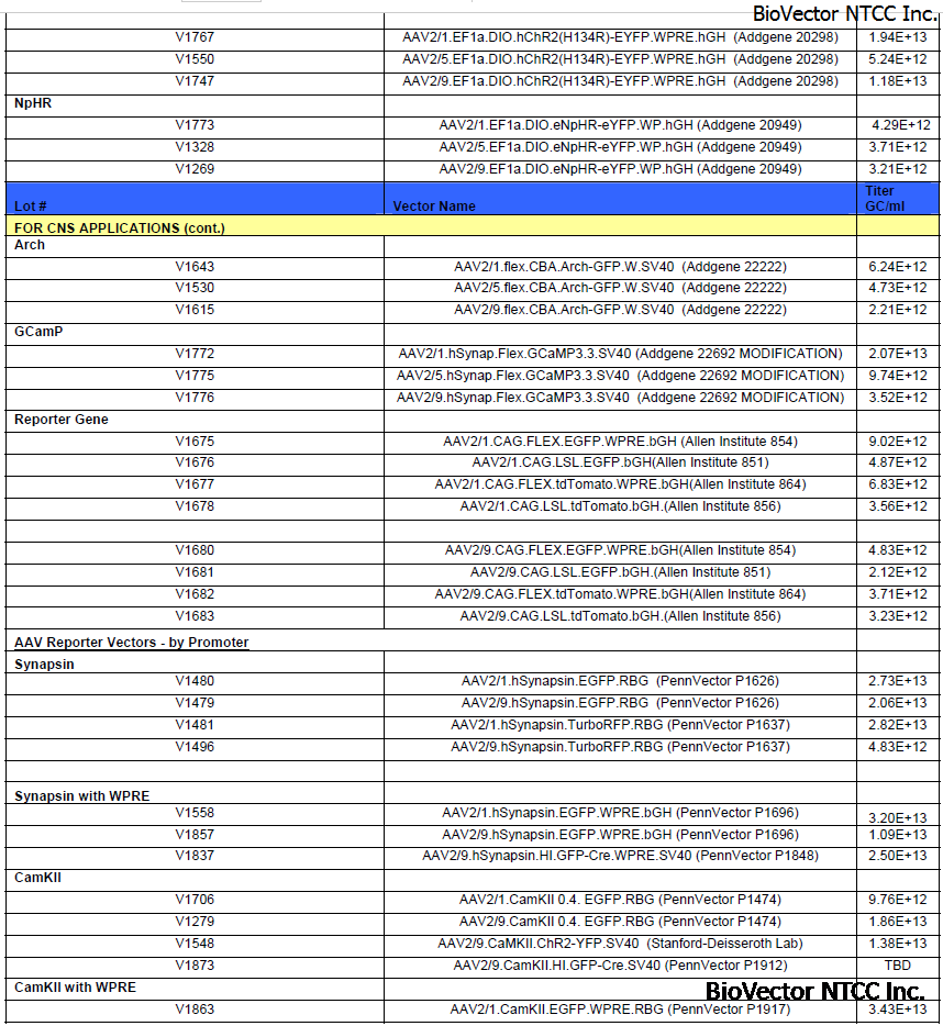 AAV腺相关病毒载体列表2 Adeno associated Viral Vectors. 多种组织适用,多种荧光指示基因,多种启动子组合,BioVector NTCC质粒载体菌种细胞基因保藏中心提供.png