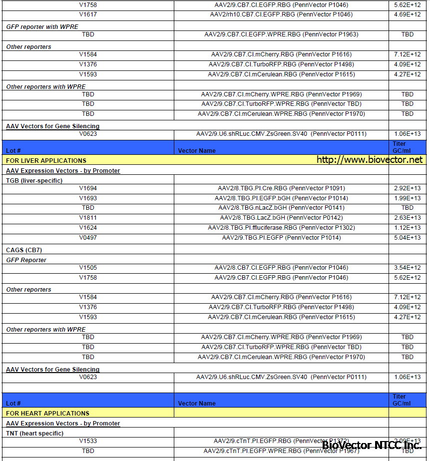 AAV腺相关病毒载体列表3. Adeno associated Viral Vectors. 表达载体,报告质粒,siRNA基因沉默干扰载体,多种组织适用,多种荧光指示基因,多种启动子组合,BioVector NTCC质粒载体菌种细胞基因保藏中心提供.png