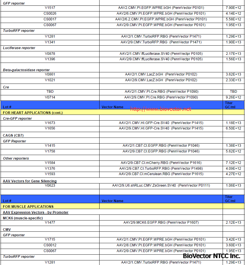 AAV腺相关病毒载体列表4. Adeno associated Viral Vectors. 表达载体,报告质粒,siRNA基因沉默干扰载体,多种组织适用,多种荧光指示基因,多种启动子组合,BioVector NTCC质粒载体菌种细胞基因保藏中心提供.png
