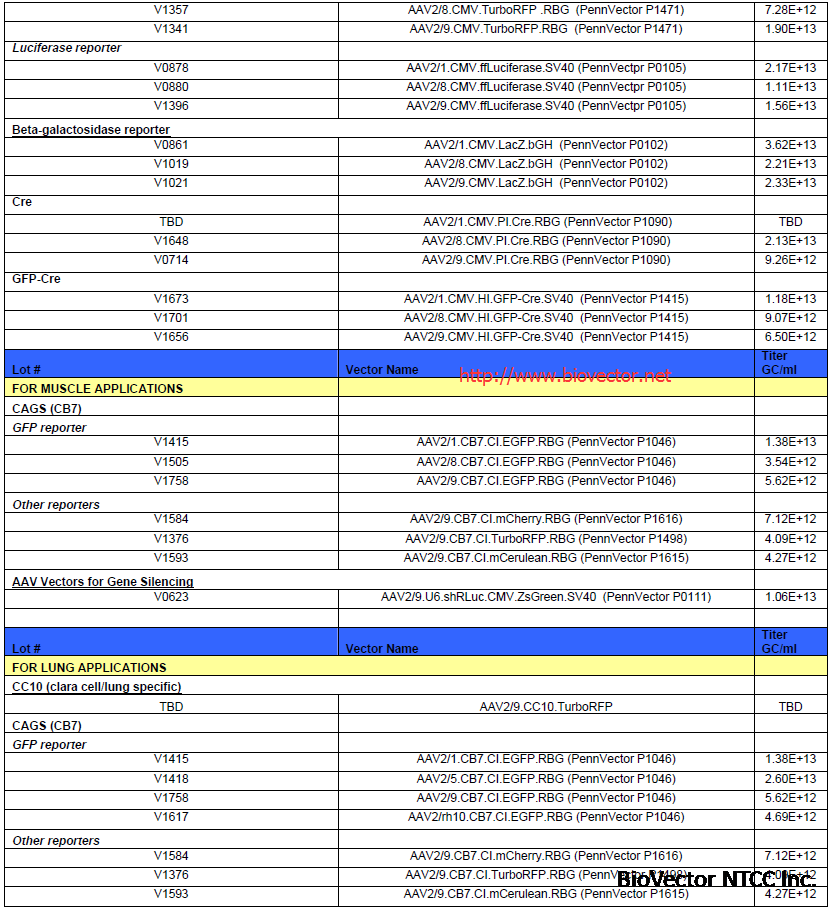 AAV腺相关病毒载体列表5. Adeno associated Viral Vectors. 表达载体,报告质粒,siRNA基因沉默干扰载体,多种组织适用,多种荧光指示基因,多种启动子组合,BioVector NTCC质粒载体菌种细胞基因保藏中心提供.png