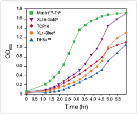 Mach1™ T1R cells