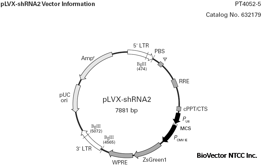 pLVX-shRNA2载体图谱.gif