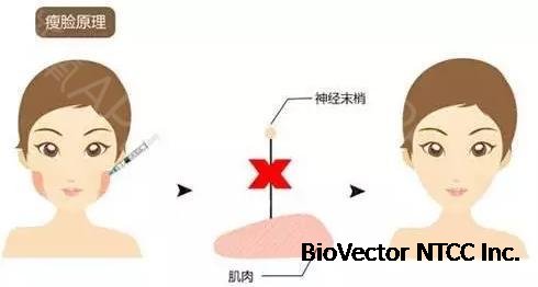 新氧 - 北京百达丽医疗美容门诊部 | 杂七杂八