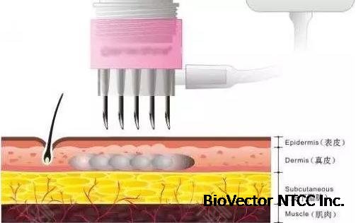 新氧 - 北京百达丽医疗美容门诊部 | 杂七杂八
