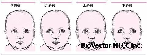 新氧 - 北京百达丽医疗美容门诊部 | 杂七杂八