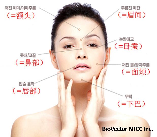 新氧 - 北京百达丽医疗美容门诊部 | 杂七杂八