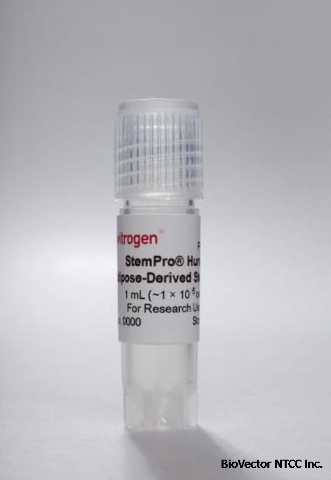 StemPro&trade; Human Adipose-Derived Stem Cells