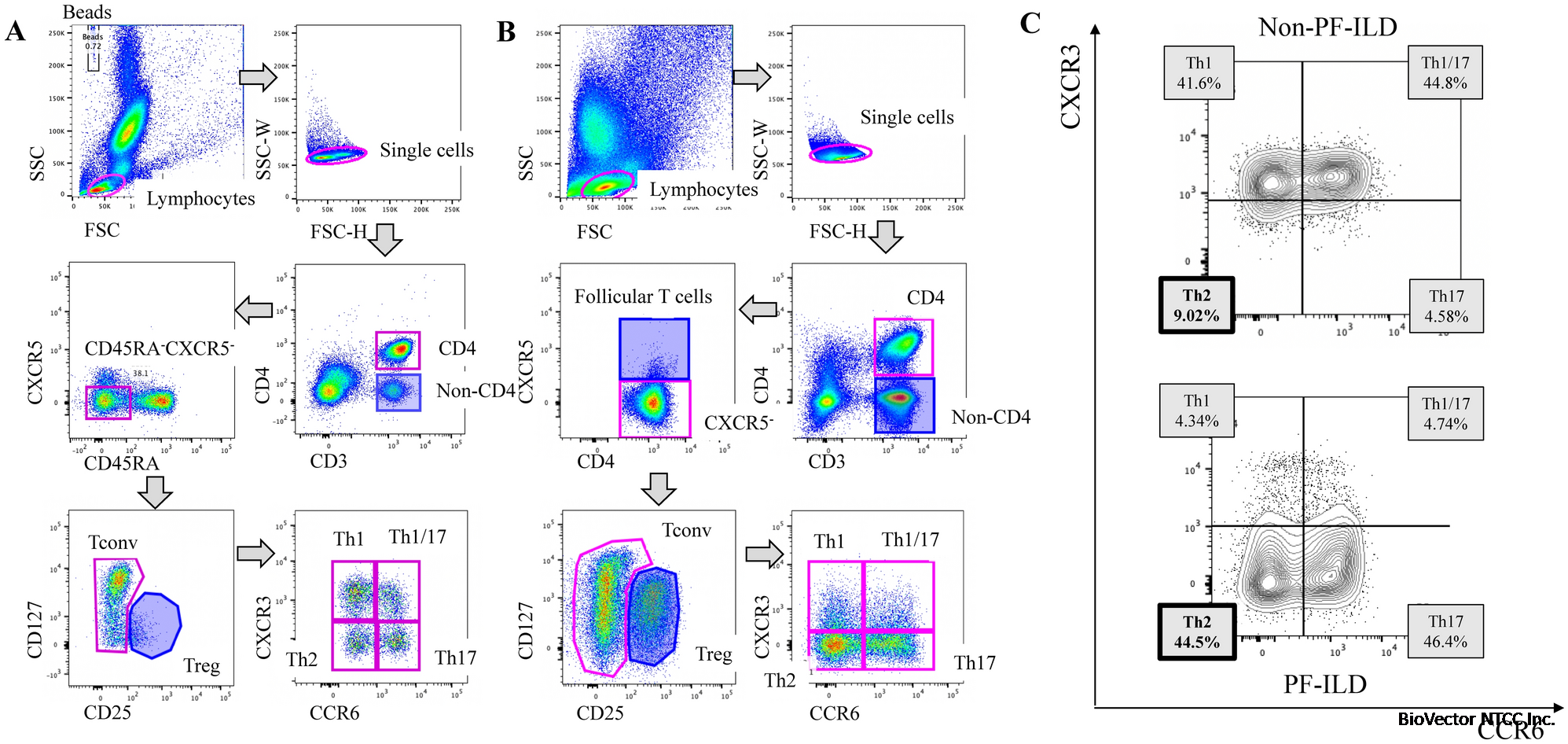 Lung CCR6−CXCR3− type 2 helper T cells as an indicator of progressive fibrosing interstitial lung diseases | Scientific Reports