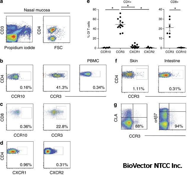 A role for CCL28–CCR3 in T-cell homing to the human upper airway mucosa |  Mucosal Immunology