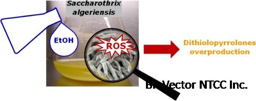 Yield enhancement strategy of dithiolopyrrolone from Saccharothrix  algeriensis by aliphatic alcohols supplementation - ScienceDirect